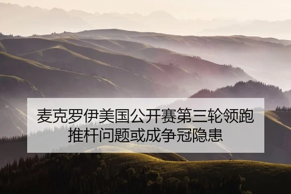mai-ke-luo-yi-mei-guo-gong-kai-sai-di-san-lun-ling-pao-tui-gan-wen-ti-huo-cheng-zheng-guan-yin-huan-2-612.jpg