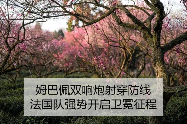 姆巴佩双响炮射穿防线 法国队强势开启卫冕征程